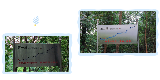 朝山頂進發(fā).png
