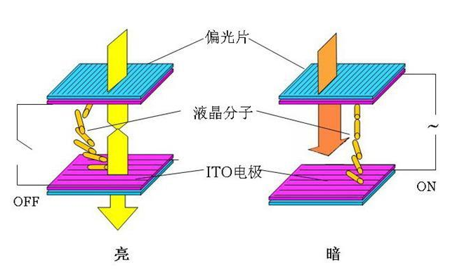 液晶光學(xué)效果.png
