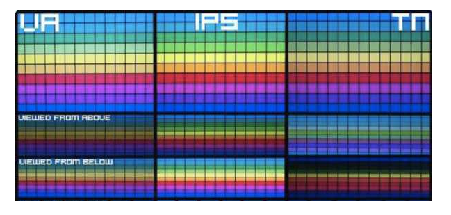 5-TN、VA、IPS圖.jpg
