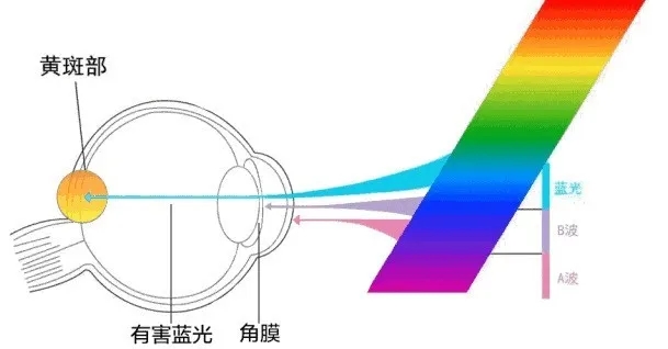 LED發(fā)光源中藍(lán)光.jpg